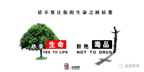 禁毒五落实五到位，构建无毒社会的稳固基石