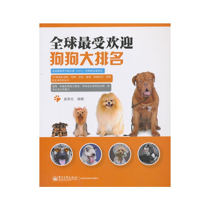 全球最受欢迎的狗狗品种排名，宠物狗狗世界排名一览