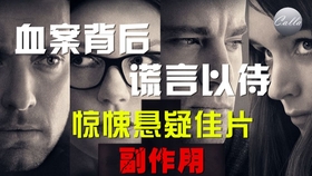 世界女罪犯心理与社会因素深度解析，探究犯罪背后的复杂心理排名揭秘