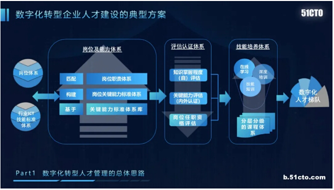 落实企业培育，奠定卓越发展基石