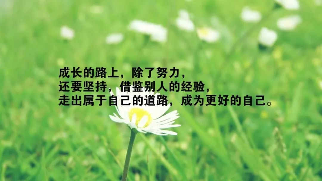 蝉鸣中的励志心声，励志语录百句精选