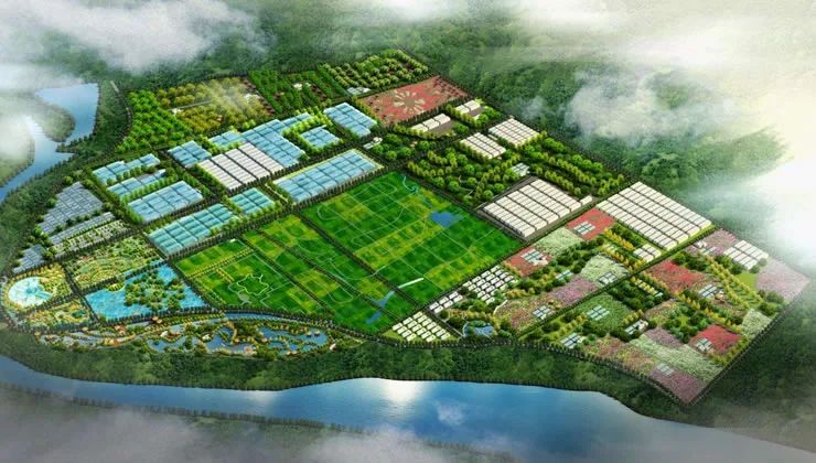温县桑坡村规划建设新进展，揭秘最新规划与布局