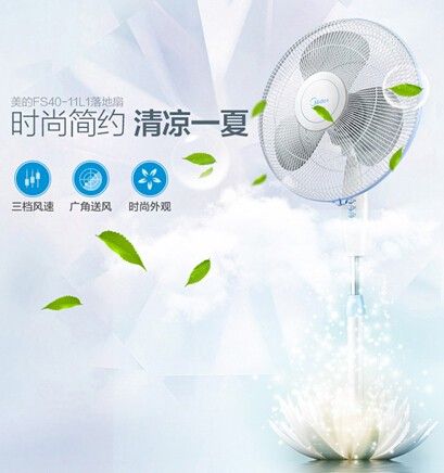 叶子飘落的奥秘，科学探索自然之美的实验之旅
