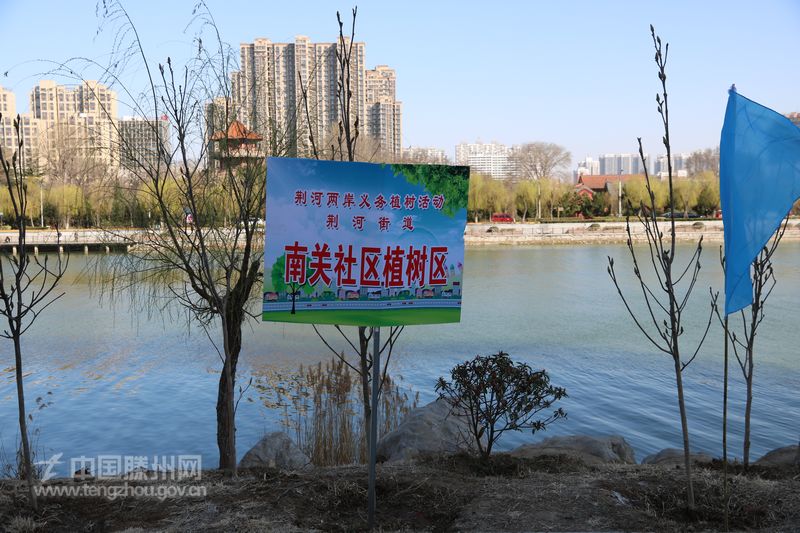 中考专题，河流的重要性与生态保护，守护生命之源，共建绿色家园