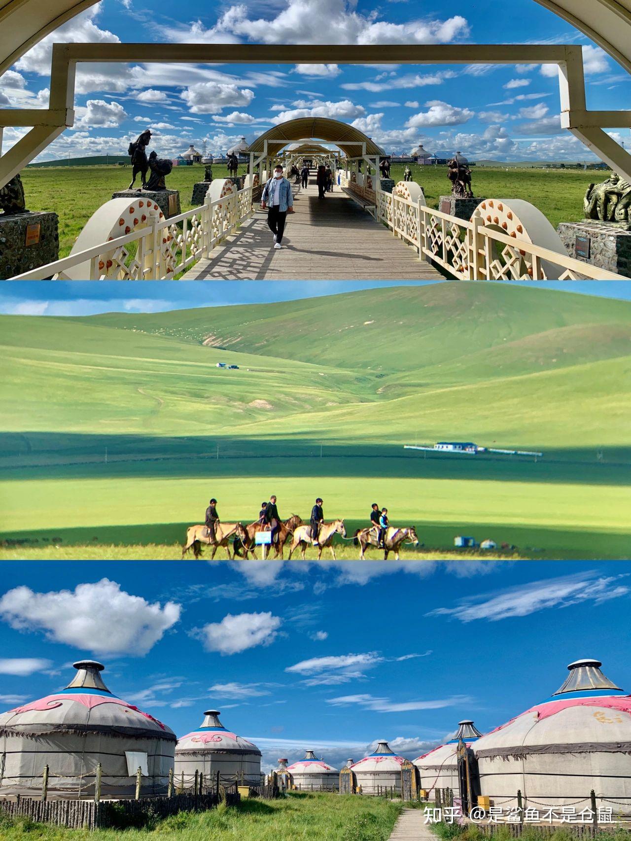 景泰毛驴探秘之旅，深度旅游攻略分享