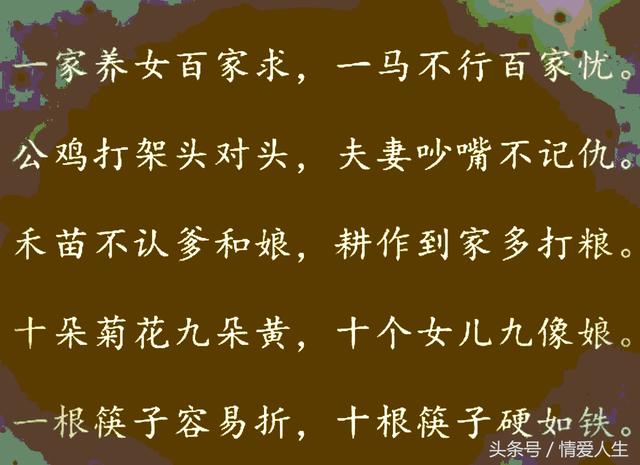 波妈励志幽默语录，笑中带力，激励人生的智慧箴言
