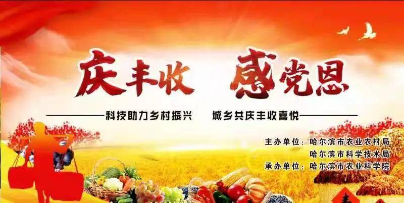 农业科技成果展，展望未来的农业专题盛宴
