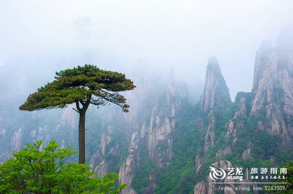 椒江江南之旅，必游景点全攻略！