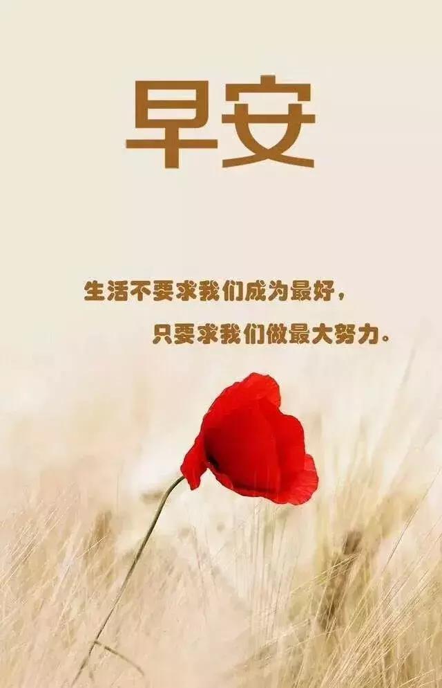 励志早安语录，金钱与图片的魔力瞬间启动新一天的动力！
