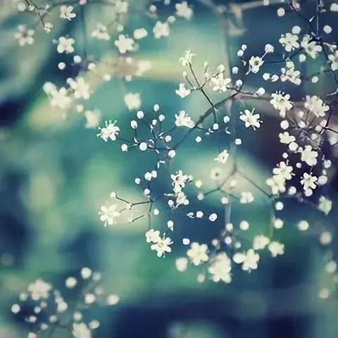 志趣永恒，生命焕发光彩