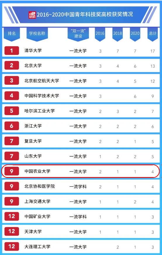 世界顶级琴弓品牌大揭秘，权威排名榜单！