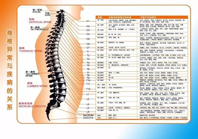 上海脊柱健康权威专家排名揭晓，十名专家深度解读脊柱健康之道