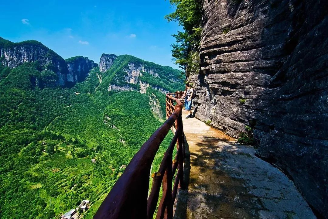 蓬莱林海探秘，绝美仙境旅游攻略