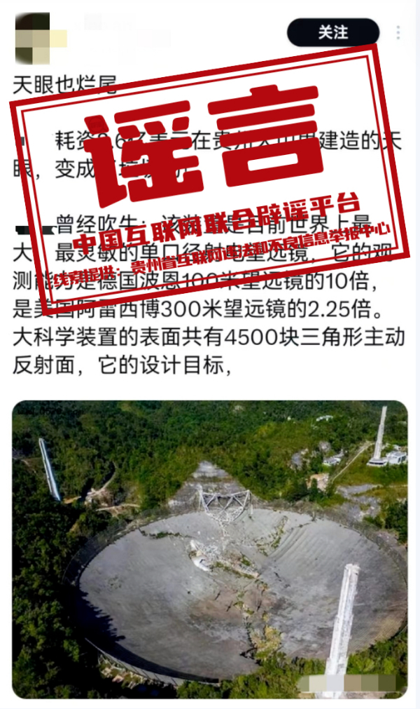百鸟归巢