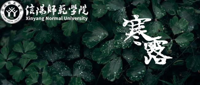 美国和平新闻头条揭秘，探寻和平之路的最新动态