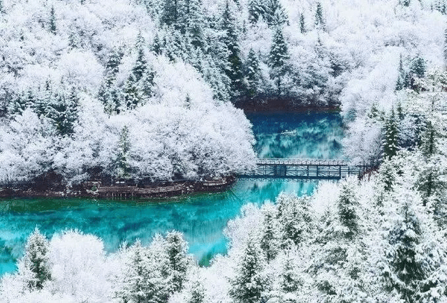 鹤岗市今日雪景实拍，绝美银装素裹，不容错过！