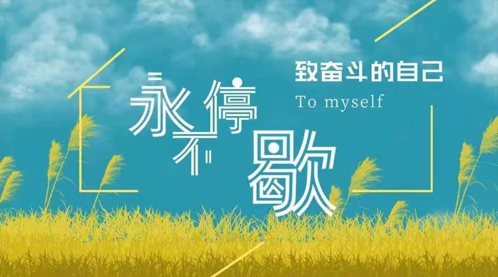 会计小白成长之路，励志语录激励前行