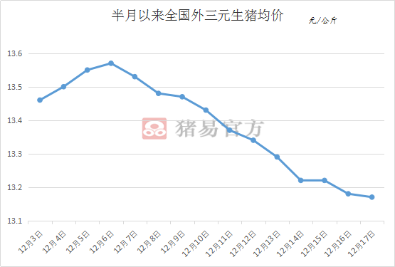 今日土猪价走势深度解析