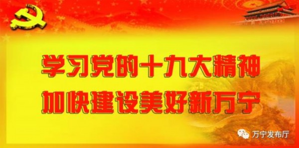 责任落实不力原因深度解析，问题根源何在？