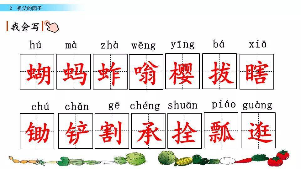 拼音探秘之旅，脚的拼音详解