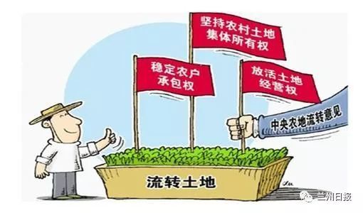 农民田地突发疾病紧急应对与关注，专家建议速览