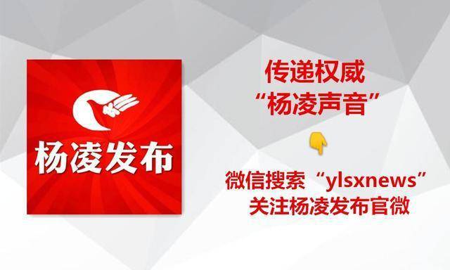 高效施工秘诀，双赢战略助力质量与效率双提升