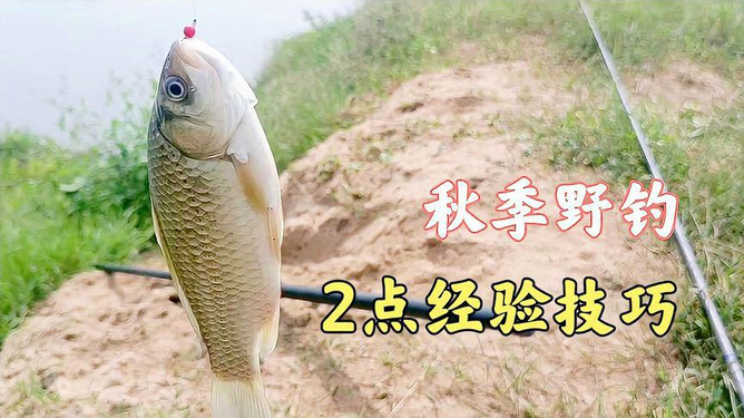 不知就里