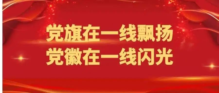 党员责任落实，先锋力量引领时代前行