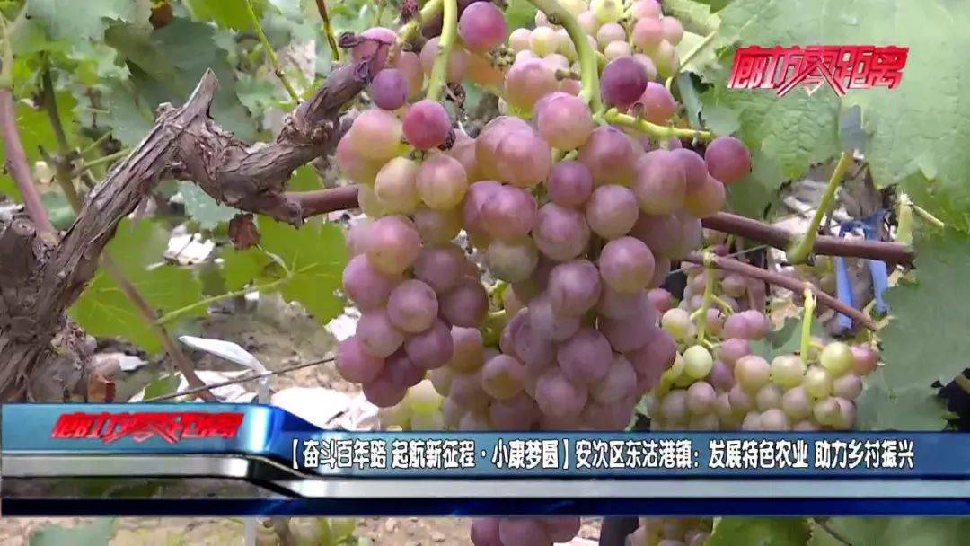 2025年5月1日 第3页