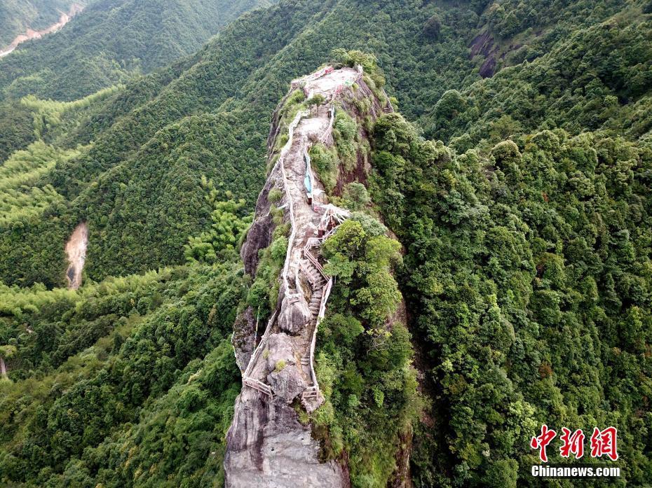宁德老虎岗最新动态新闻头条揭秘