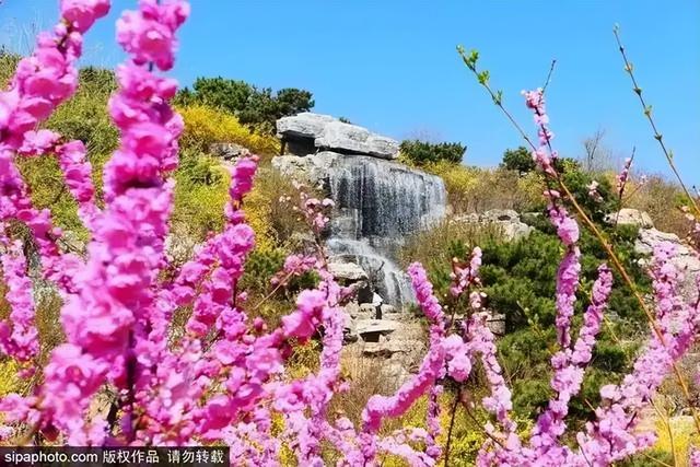 栖霞春日自驾游攻略，踏青赏花，尽享美景