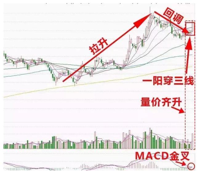 谷歌股价最新行情深度解析，今日走势及未来展望