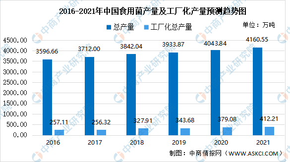 揭秘桑黄菌行业巨头公司排名及其行业影响力不容小觑