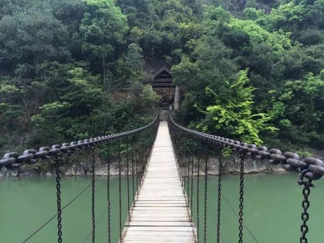 和平桥游玩指南，探秘绝美景点，轻松开启旅程！