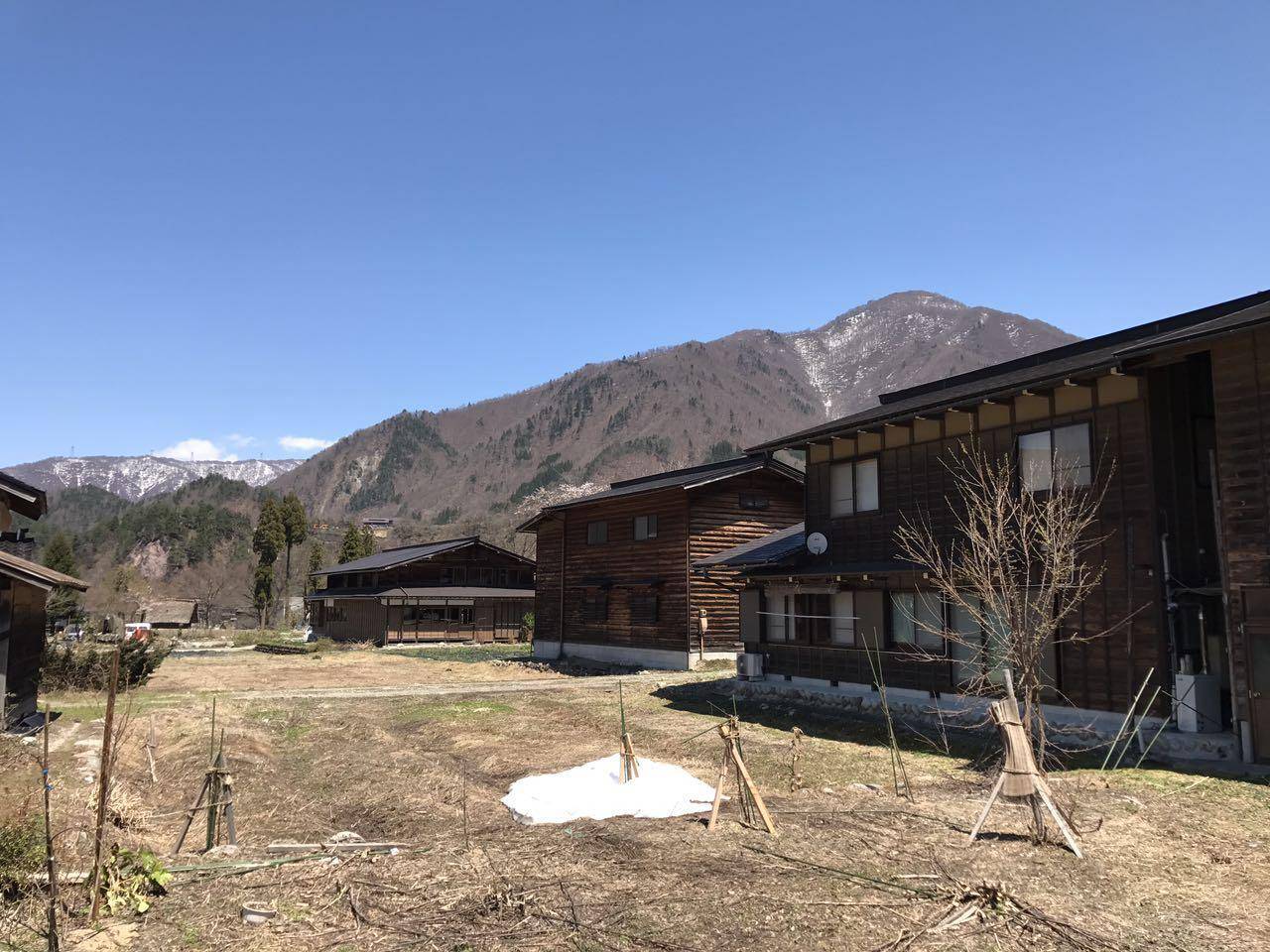 伊豆群岛游玩全攻略及最新动态表，让你轻松探索魅力之旅！