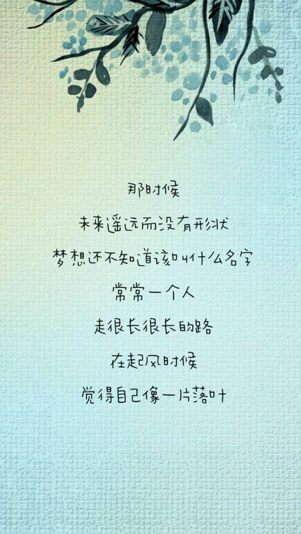 励志小说经典语录集锦