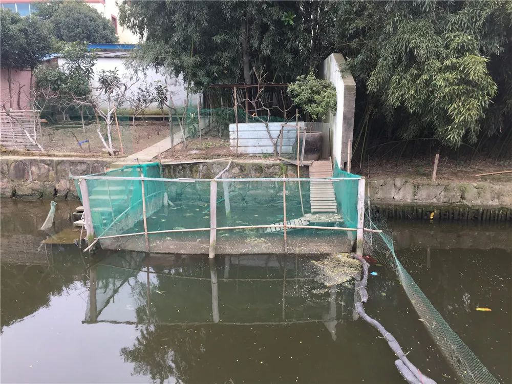 河道长效保洁，守护绿水青岸，开启生态之旅